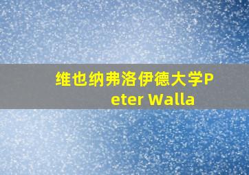 维也纳弗洛伊德大学Peter Walla